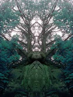 Rosaceae : Spring Recordings 2011 Rosaceae : Spring Recordings 2011